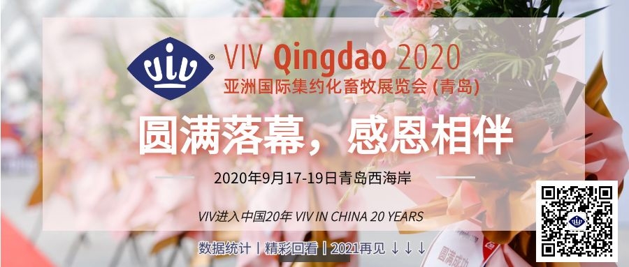 VIVQINGDAO 2020postshow.jpg