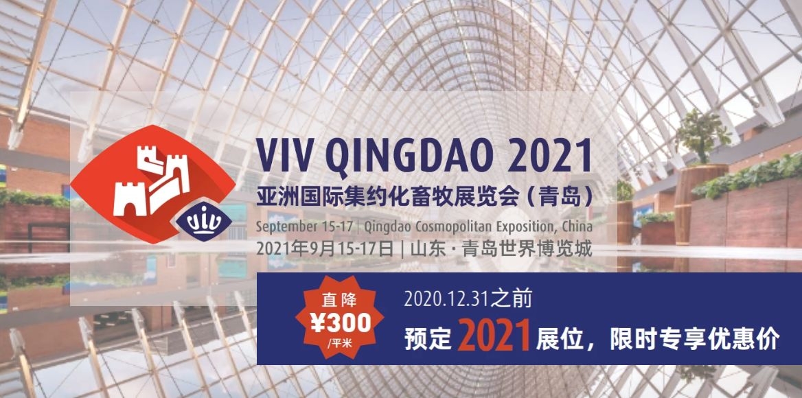 VIVQINGDAO2021.jpg