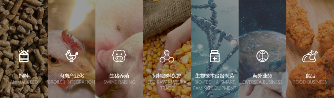 迎来全产业链重量级战略合作伙伴：禾丰食品股份有限公司丨VIV Nanjing 2023亚洲国际集约化畜牧展（南京）.png